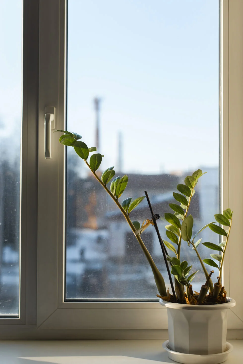 Скільки служать металопластикові вікна та як продовжити їхній термін?