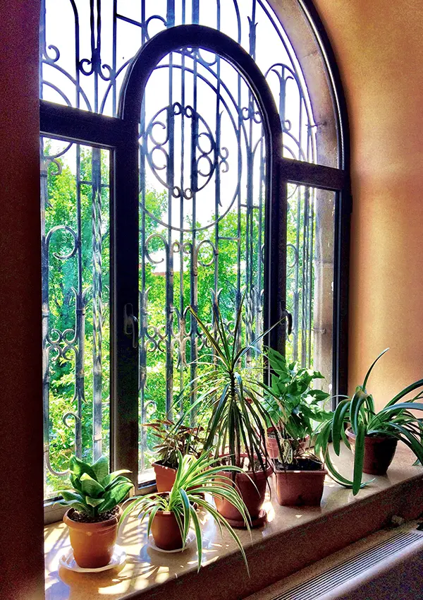 Безпека вікон Київ