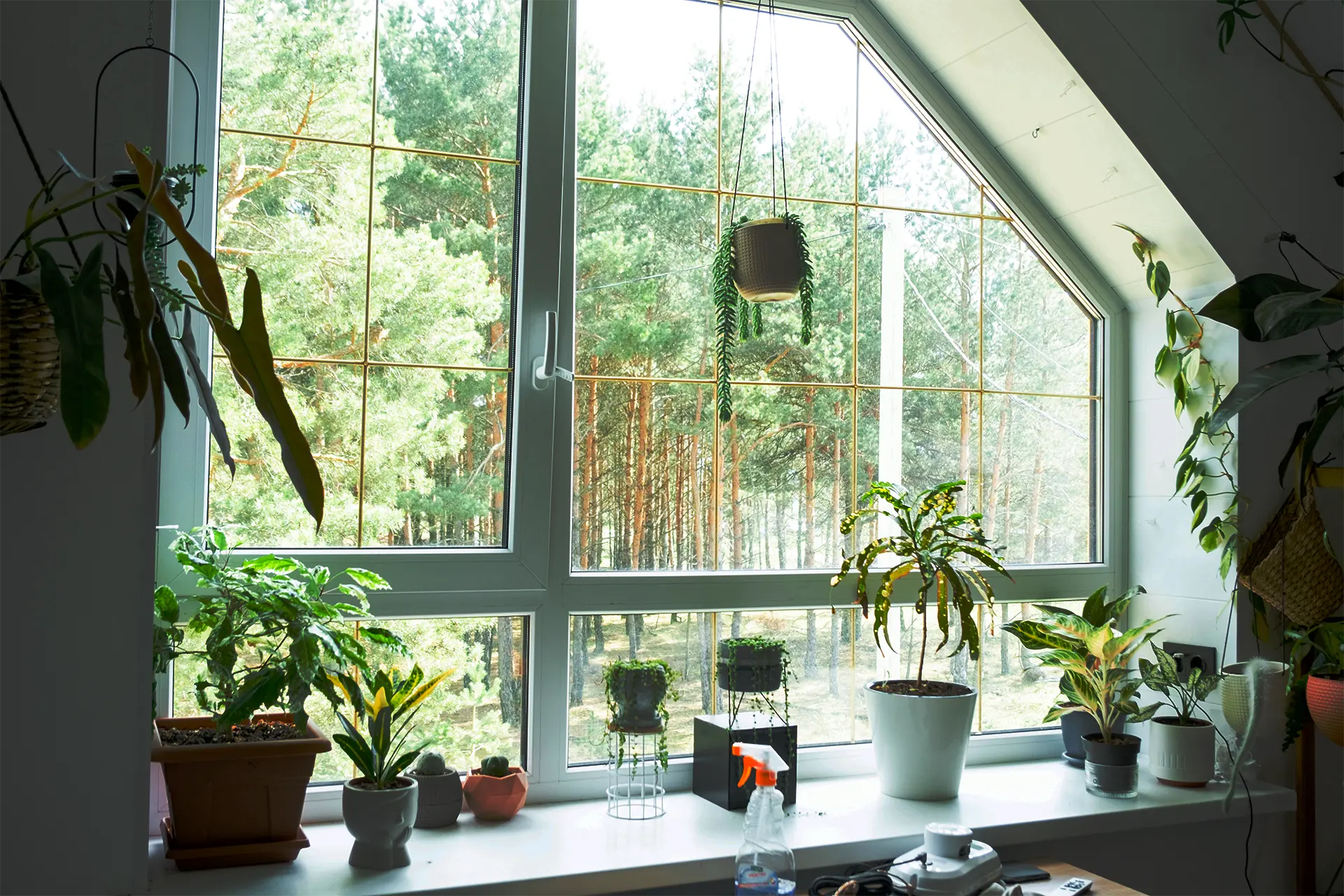 Оздоблення укосів: завершальний штрих після встановлення вікон